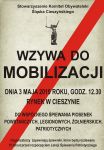 Biało-czerwone świętowanie - obchody Święta Konstytucji 3 Maja